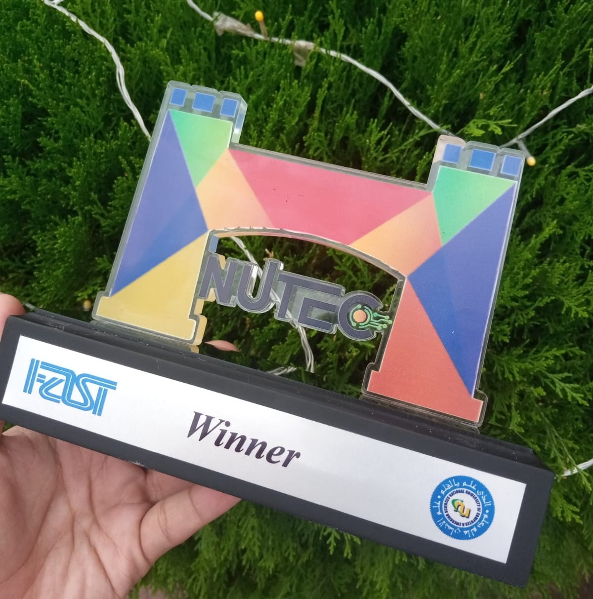 Web Development Competition